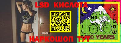 стаф Бийск