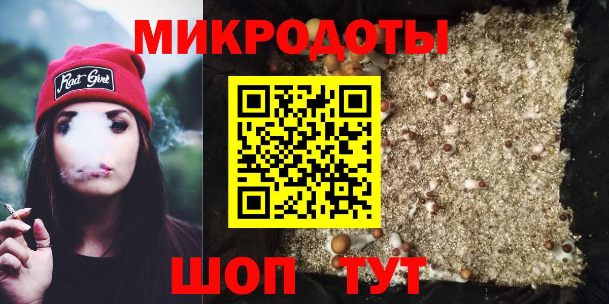 Кимовск  Галлюциногенные грибы Psilocybe  Вход с VPN 