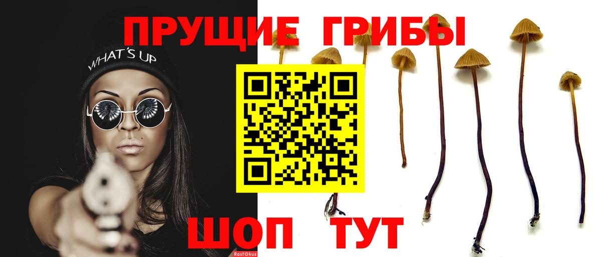 Галлюциногенные грибы мухоморы Кимовск